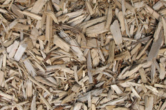 biomass boilers Broad Oak